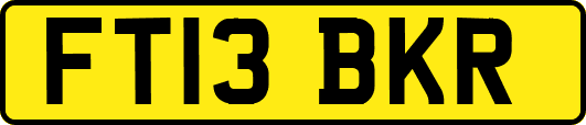 FT13BKR