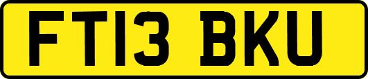 FT13BKU