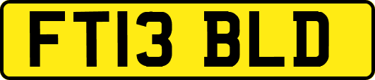 FT13BLD