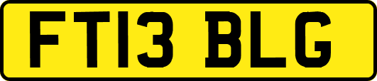 FT13BLG