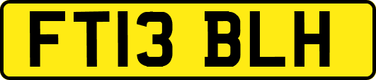 FT13BLH