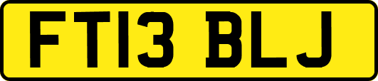 FT13BLJ