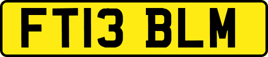 FT13BLM
