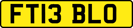 FT13BLO