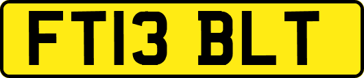 FT13BLT