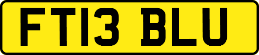FT13BLU