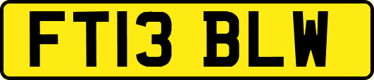 FT13BLW