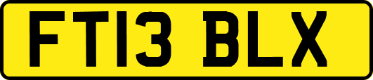 FT13BLX