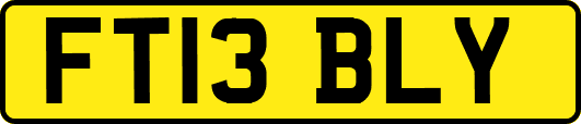FT13BLY