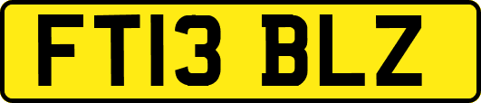 FT13BLZ