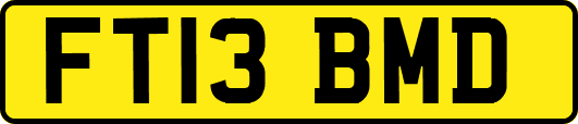 FT13BMD
