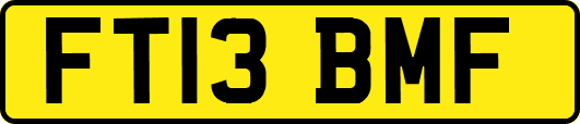 FT13BMF