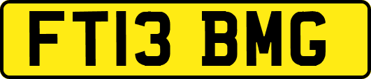 FT13BMG