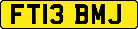 FT13BMJ