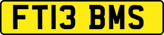 FT13BMS