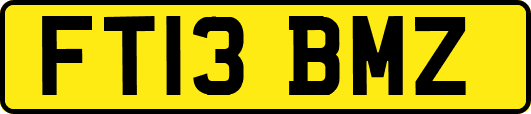 FT13BMZ