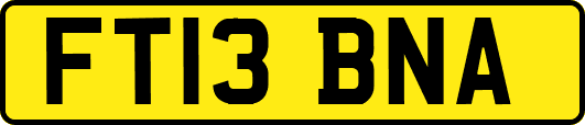 FT13BNA