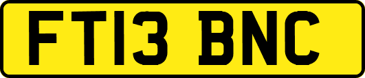 FT13BNC