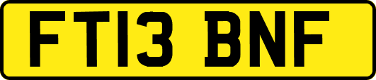 FT13BNF