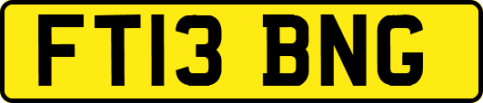 FT13BNG