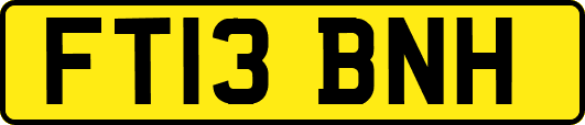 FT13BNH