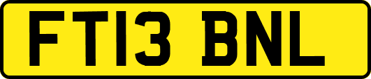 FT13BNL