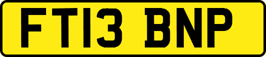FT13BNP