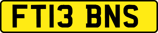 FT13BNS