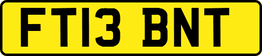FT13BNT