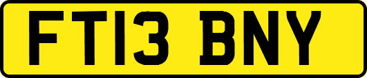 FT13BNY