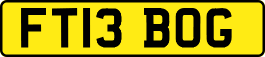 FT13BOG