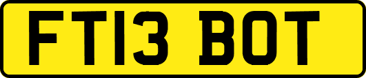 FT13BOT