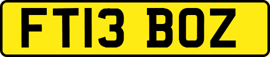 FT13BOZ