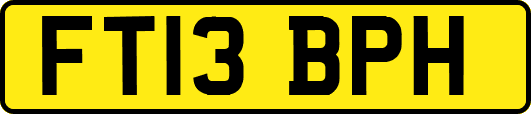 FT13BPH