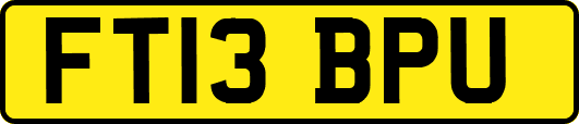 FT13BPU