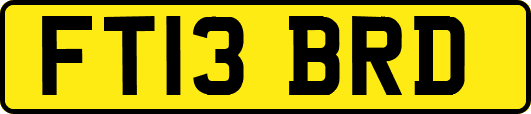 FT13BRD