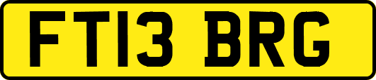 FT13BRG