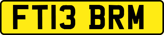 FT13BRM