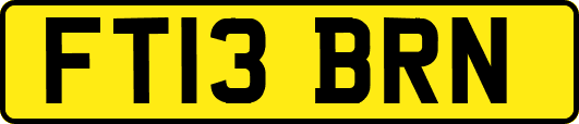 FT13BRN