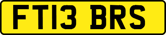 FT13BRS