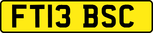 FT13BSC