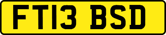 FT13BSD