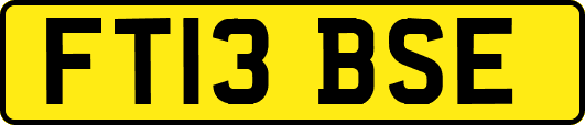 FT13BSE