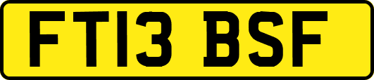 FT13BSF