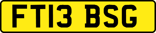 FT13BSG