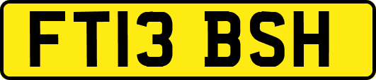 FT13BSH