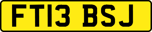 FT13BSJ