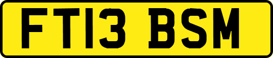 FT13BSM