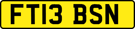 FT13BSN