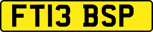 FT13BSP